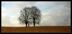 Stromy v krajině - Dvojice u kříže