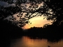 Štěpánka Eršeková - západ slunce nad boreckým rybníkem