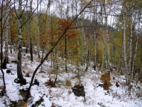 Stromy v krajině - První sníh v Krušných horách