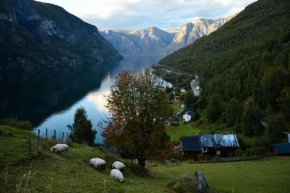 Fotograf roku v přírodě 2016 - Norská idylka