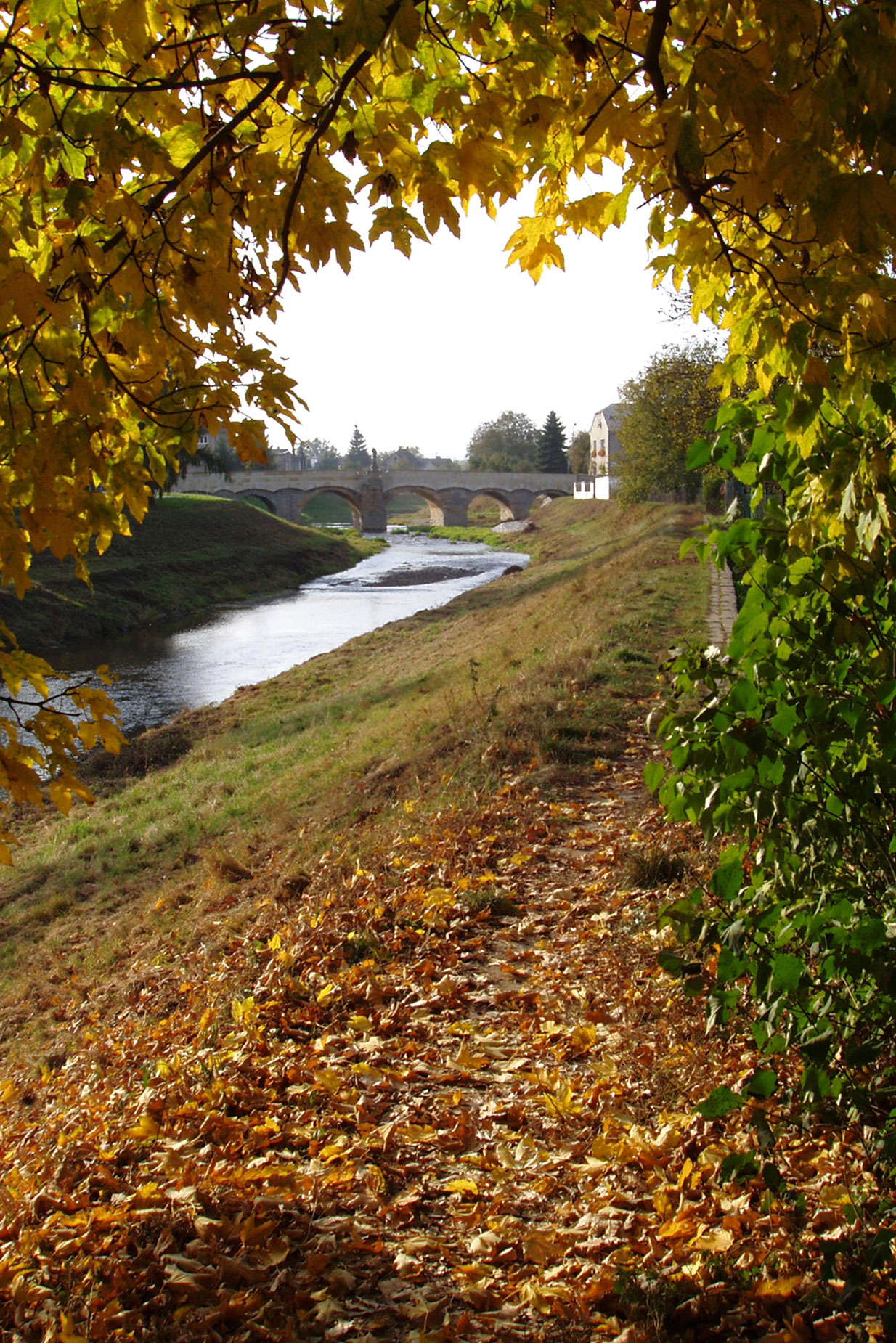 řeka Morava na podzim