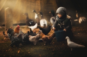 Dětské pohledy i radosti - Na farmě