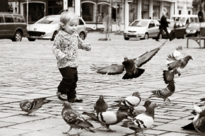 Dětské pohledy i radosti - hrátky s holuby