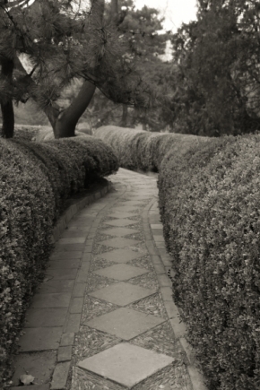 Kouzlíme černobíle - chodník v parku