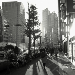 David Havelík - Tokyo Shinjuku
