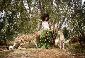 Zvěř a zvířátka divoká i blízká - Safari Cheetahs
