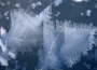 Libuše Kilarská -kouzlo zimy