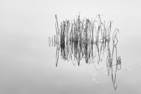 Voda a její odrazy - Fotograf roku - Kreativita - VIII.kolo - Ranní čmárání