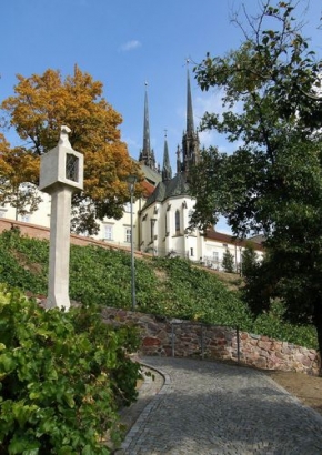 Moje město, můj kraj - Brno - terasy pod Petrovem