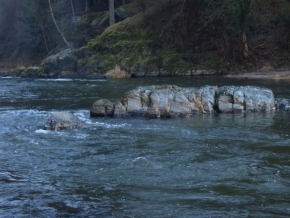 Voda a její odrazy - Řeka proudí