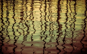 Voda a její odrazy - Fotograf roku - Junior - VIII.kolo - Zrcadlení