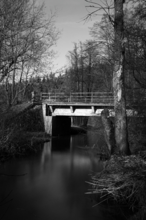 Radek  Höfer  - Zapomenutý most 