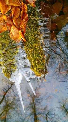 Milan Pagáč - podzimní zrcadlo