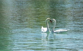 Libuše Kilarská - láska na jezeře