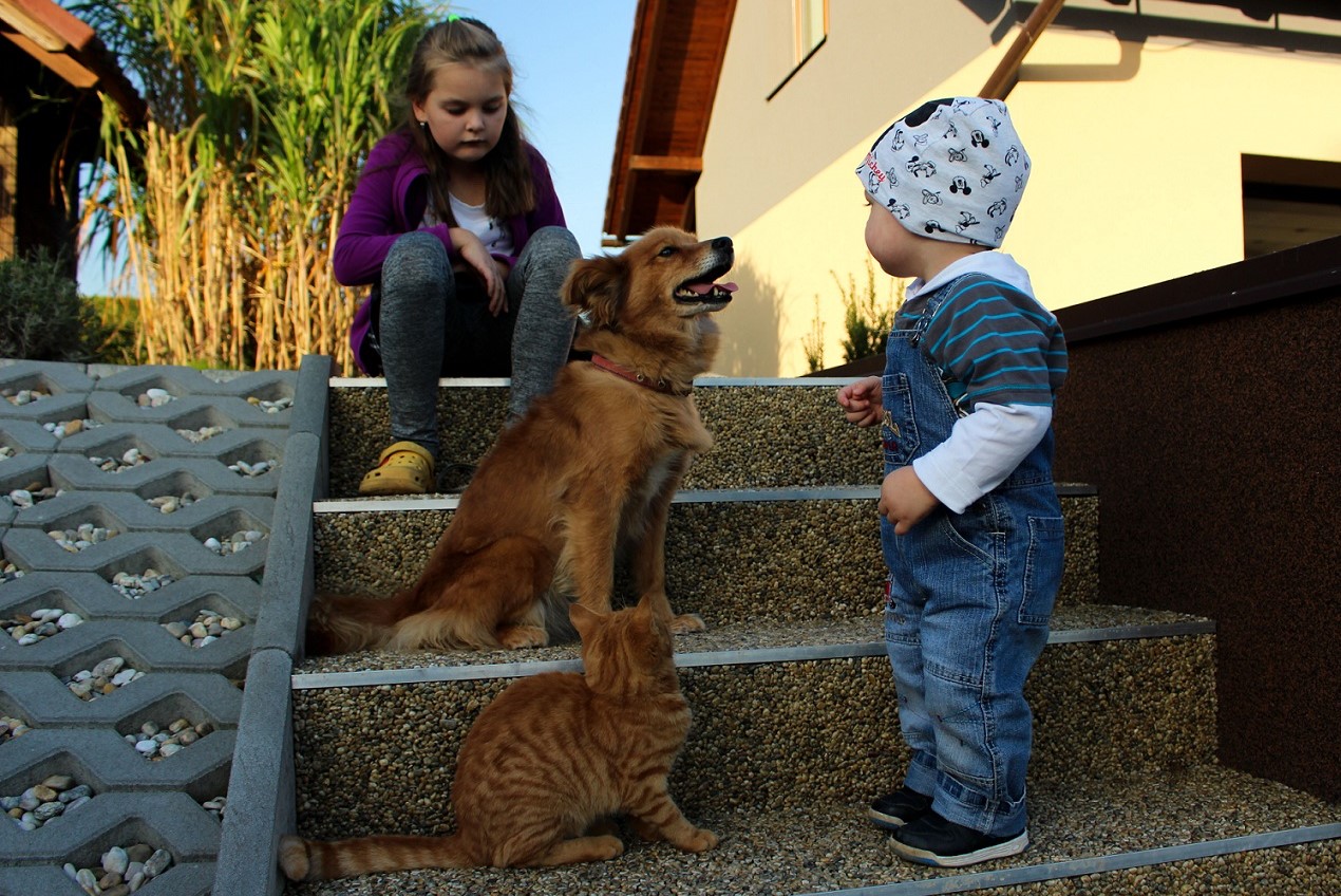 Pohled pejska s chlapcem a kočičky s děvčetem