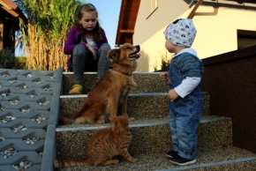 Tereza Mičulková - Pohled pejska s chlapcem a kočičky s děvčetem