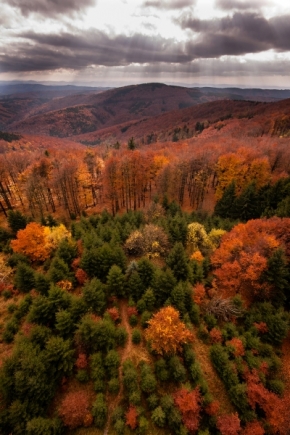 V přírodě - Fotograf roku - Kreativita - XII.kolo - Podzim v Hostýnských vrších