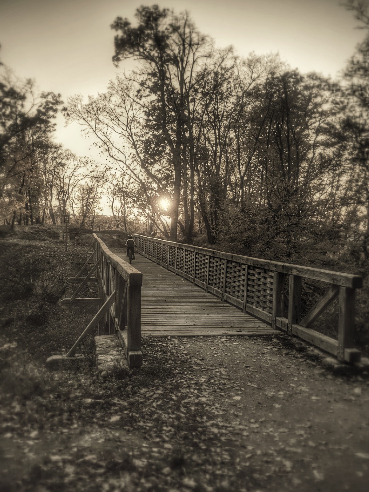 Most v Kunratickém Parku