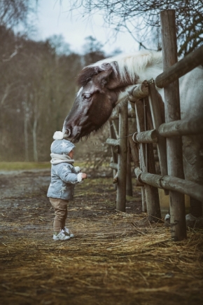 Děti a jejich svět - Mami, a kde je ten koník?
