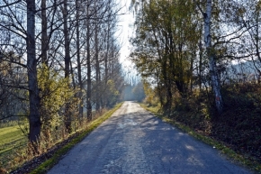 Pavel Kocman - Cesta z kopce