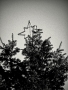 Soňa Ausficírová -Vánoční strom v obci