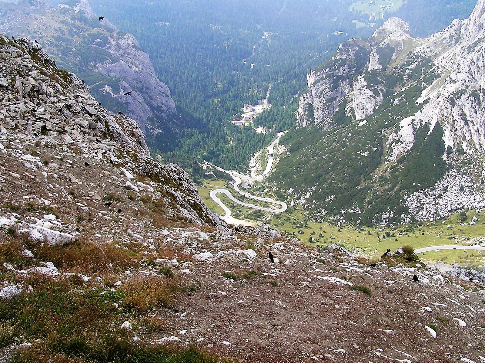 příroda v Alpách