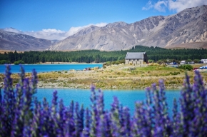 V přírodě - Jezero Tekapo, Nový Zéland