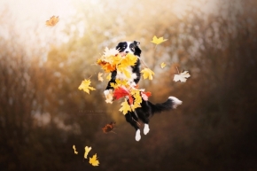 Okamžik - Podzimní radosti