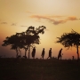 Masajové a fotbal