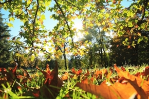V přírodě - Podzimní čas