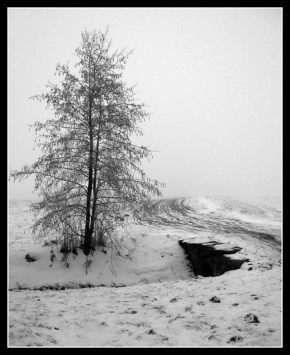 A zima je krásná - Fotograf roku - kreativita - Černobílá zima