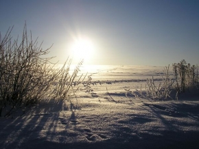 A zima je krásná - Zamrzlé ráno