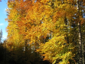 Má nejkrásnější krajina - Podzim v barvě.