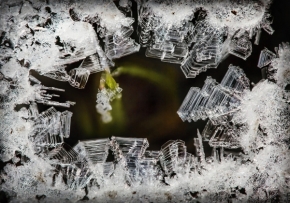 Jaroslava Melicharová - Ledové krystaly