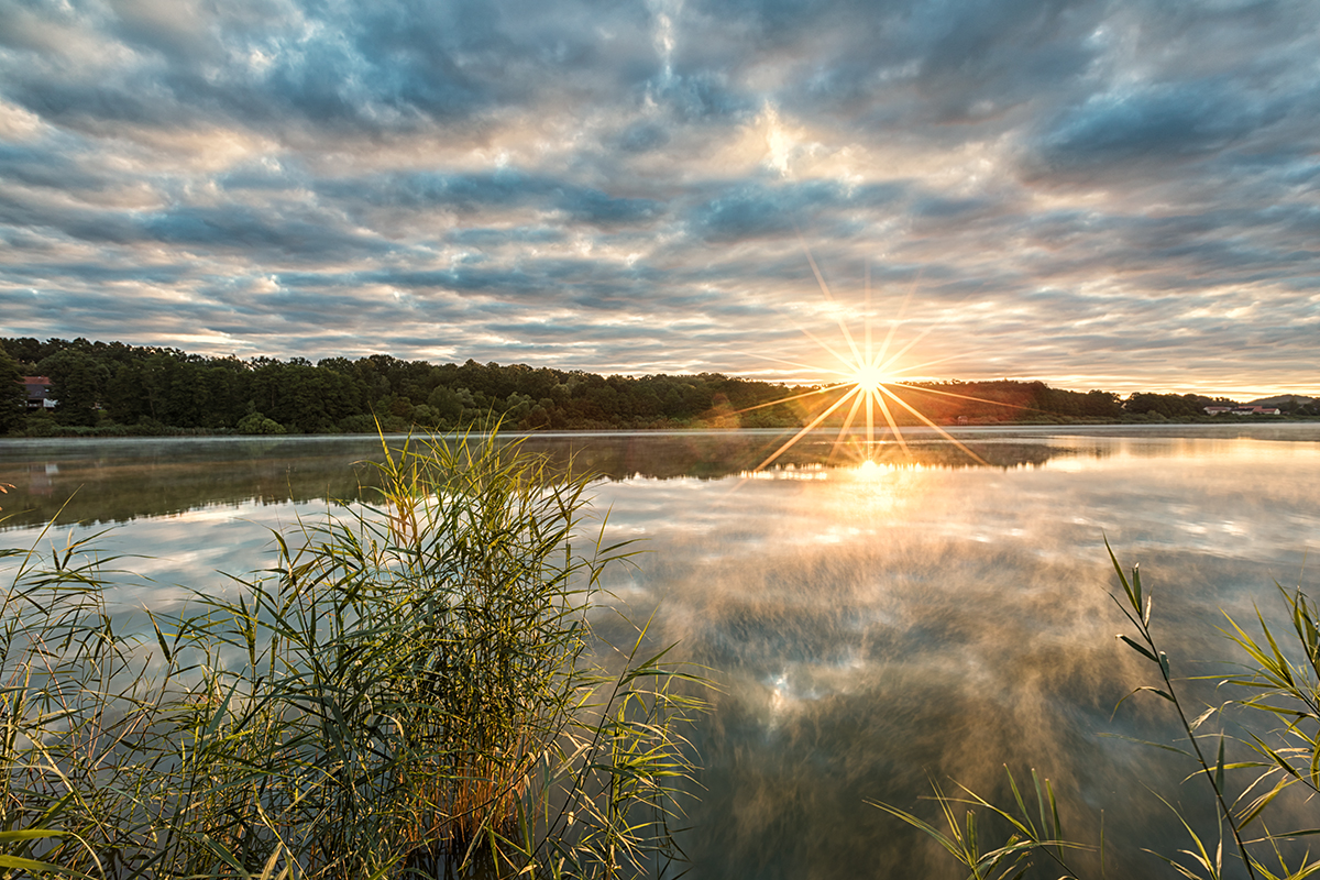 Východ Slunce na Novozámeckém rybníku