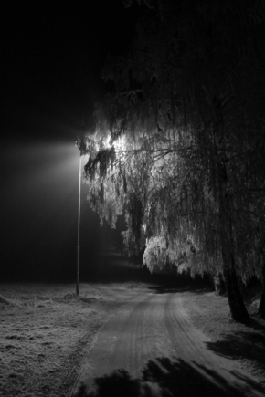 Kouzla noci - Bílá tma