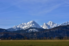 V přírodě - V Alpách