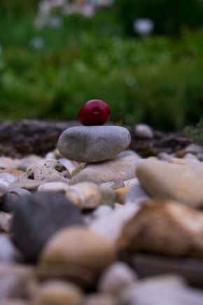Kateřina Cvachová - Meditace v přírodě