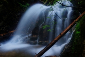 V přírodě - Fotograf roku - Kreativita - XII.kolo - Vodopád v pralese.