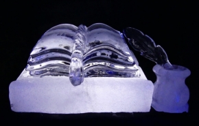 Iva Matulová - ledová kniha