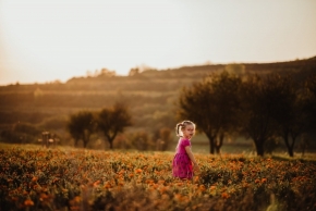 Překrásný svět dětí - Víla v květinovém poli
