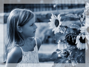 Překrásný svět dětí - Slunečnicová