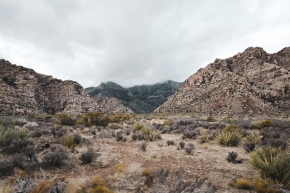 Nedotčená příroda - Red Rock Canyon II