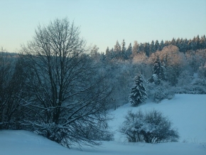 Kouzlení zimy - Bílá krása