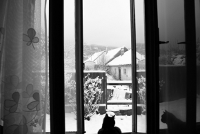 Černobílé snění - Vůně sněhu
