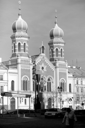 Zdeněk Katera - Velká synagoga v Plzni