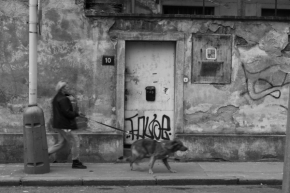 Městské okamžiky - Procházka se psem 