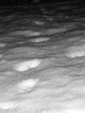 A zima je krásná - Brouzdání sněhem do noci