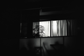 Černobílé snění - Za oknem