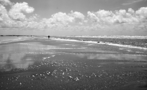 Černobílé snění - Plážové snění